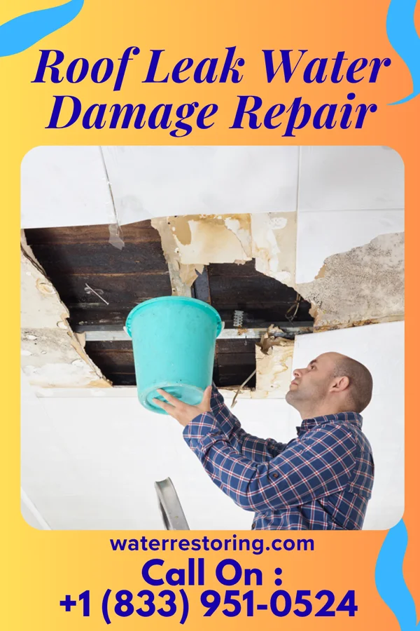 Roof Leak Water Damage Repair in Pecan Gap, TX